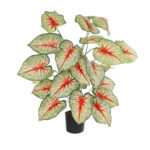 GloboStar® Artificial Garden CALADIUM PLANT 20921 Διακοσμητικό Φυτό Καλάντιουμ Φ75 x Υ80cm - Image 2