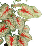 GloboStar® Artificial Garden CALADIUM PLANT 20921 Διακοσμητικό Φυτό Καλάντιουμ Φ75 x Υ80cm - Image 3
