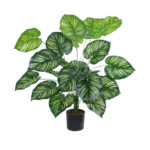 GloboStar® Artificial Garden CALATHEA PLANT 20922 Διακοσμητικό Φυτό Καλαθέα Φ70 x Υ80cm - Image 2