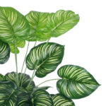 GloboStar® Artificial Garden CALATHEA PLANT 20922 Διακοσμητικό Φυτό Καλαθέα Φ70 x Υ80cm - Image 3
