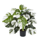 GloboStar® Artificial Garden ALBINO MONSTERA PLANT 20925 - Διακοσμητικό Φυτό Λευκή Μονστέρα Φ70 x Υ75cm - Image 2