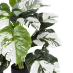 GloboStar® Artificial Garden ALBINO MONSTERA PLANT 20925 - Διακοσμητικό Φυτό Λευκή Μονστέρα Φ70 x Υ75cm - Image 3