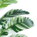 GloboStar® Artificial Garden BANANA PLANT ZEBRA 20929 - Διακοσμητικό Φυτό Μπανανιά Ζέβρα Φ70 x Υ55cm - Image 3