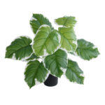 GloboStar® Artificial Garden WHITE HOSTA PLANT 20931 Διακοσμητικό Φυτό Λευκή  Χόστα Φ60 x Υ55cm - Image 2