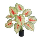 GloboStar® Artificial Garden CALADIUM PLANT 20932 Διακοσμητικό Φυτό Καλάντιουμ Φ58 x Υ55cm - Image 2