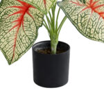 GloboStar® Artificial Garden CALADIUM PLANT 20932 Διακοσμητικό Φυτό Καλάντιουμ Φ58 x Υ55cm - Image 4
