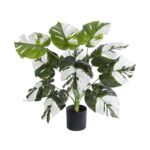 GloboStar® Artificial Garden ALBINO MONSTERA PLANT 20935 - Διακοσμητικό Φυτό Λευκή Μονστέρα Φ60 x Υ55cm - Image 2