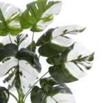 GloboStar® Artificial Garden ALBINO MONSTERA PLANT 20935 - Διακοσμητικό Φυτό Λευκή Μονστέρα Φ60 x Υ55cm - Image 3