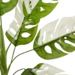 GloboStar® Artificial Garden ALBINO MONSTERA 20938 Τεχνητό Διακοσμητικό Φυτό Πράσινη & Λευκή Μονστέρα Μ90 x Π90 x Υ90cm - Image 3