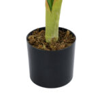 GloboStar® Artificial Garden CALATHEA PLANT 20940 Διακοσμητικό Φυτό Καλαθέα Φ80 x Υ90cm - Image 4