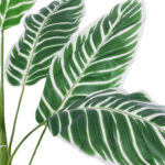 GloboStar® Artificial Garden WHITE ZEBRA PLANT 20943 Τεχνητό Διακοσμητικό Φυτό Λευκή Ζέβρα Φ90 x Υ90cm - Image 3