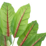 GloboStar® Artificial Garden BLOOD BANANA PLANT 20944 - Διακοσμητικό Φυτό Αιματόφυλλη Μπανανιά Φ70 x Υ90cm - Image 3