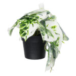 GloboStar® Artificial Garden ALBINO MONSTERA PLANT 20946 - Διακοσμητικό Φυτό Μονστέρα Φ23 x Υ16cm - Image 2