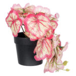 GloboStar® Artificial Garden RED BEGONIA PLANT 20948 Διακοσμητικό Φυτό Κόκκινη Βιγόνια Φ23 x Υ16cm - Image 2