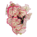 GloboStar® Artificial Garden RED BEGONIA PLANT 20948 Διακοσμητικό Φυτό Κόκκινη Βιγόνια Φ23 x Υ16cm - Image 4