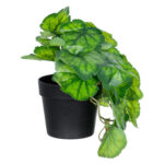 GloboStar® Artificial Garden GREEN BEGONIA PLANT 20949 Διακοσμητικό Φυτό Πράσινη Βιγόνια Φ23 x Υ16cm - Image 2