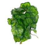 GloboStar® Artificial Garden GREEN BEGONIA PLANT 20949 Διακοσμητικό Φυτό Πράσινη Βιγόνια Φ23 x Υ16cm - Image 4