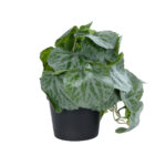 GloboStar® Artificial Garden STRAWBERRY PLANT 20950 Διακοσμητικό Φυτό Φραουλιά Φ23 x Υ16cm - Image 2