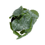 GloboStar® Artificial Garden STRAWBERRY PLANT 20950 Διακοσμητικό Φυτό Φραουλιά Φ23 x Υ16cm - Image 3