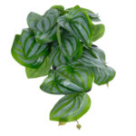 GloboStar® Artificial Garden STRAWBERRY PLANT 20953 Διακοσμητικό Φυτό Φράουλα Φ23 x Υ16cm - Image 4