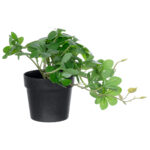 GloboStar® Artificial Garden SCHEFFLERA PLANT 20954 Διακοσμητικό Φυτό Σεφλέρα Φ18 x Υ17cm - Image 2