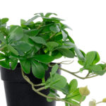 GloboStar® Artificial Garden SCHEFFLERA PLANT 20954 Διακοσμητικό Φυτό Σεφλέρα Φ18 x Υ17cm - Image 3