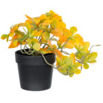 GloboStar® Artificial Garden SCHEFFLERA MIX PLANT 20955 Διακοσμητικό Φυτό Σεφλέρα Φ20 x Υ18cm - Image 2