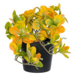 GloboStar® Artificial Garden SCHEFFLERA MIX PLANT 20955 Διακοσμητικό Φυτό Σεφλέρα Φ20 x Υ18cm - Image 4