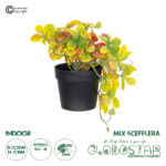 GloboStar® Artificial Garden SCHEFFLERA MIX PLANT 20956 Διακοσμητικό Φυτό Σεφλέρα Φ20 x Υ18cm