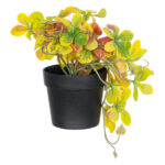 GloboStar® Artificial Garden SCHEFFLERA MIX PLANT 20956 Διακοσμητικό Φυτό Σεφλέρα Φ20 x Υ18cm - Image 2