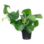 GloboStar® Artificial Garden BELL PLANT 20957 Διακοσμητικό Φυτό Σεφλέρα Φ47 x Υ22cm - Image 2