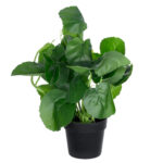 GloboStar® Artificial Garden BELL PLANT 20957 Διακοσμητικό Φυτό Σεφλέρα Φ47 x Υ22cm - Image 4