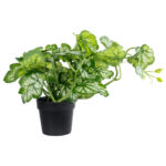 GloboStar® Artificial Garden BEGONIA PLANT 20958 Διακοσμητικό Φυτό Βιγόνια Φ47 x Υ22cm - Image 2