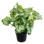 GloboStar® Artificial Garden BEGONIA PLANT 20958 Διακοσμητικό Φυτό Βιγόνια Φ47 x Υ22cm - Image 4