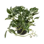 GloboStar® Artificial Garden ZEBRINA PLANT 20960 Διακοσμητικό Φυτό Ζεμπρίνα Φ45 x Υ22cm - Image 2