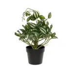 GloboStar® Artificial Garden ZEBRINA PLANT 20960 Διακοσμητικό Φυτό Ζεμπρίνα Φ45 x Υ22cm - Image 3