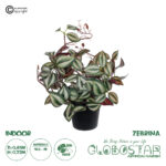 GloboStar® Artificial Garden ZEBRINA PLANT 20961 Διακοσμητικό Φυτό Ζεμπρίνα Φ45 x Υ22cm