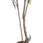 GloboStar® Artificial Garden GREEN NANDINA PLANT 20965 Διακοσμητικό Φυτό Πράσινη Ναντίνα Φ66 x Υ150cm - Image 4