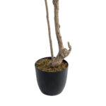 GloboStar® Artificial Garden GREEN NANDINA PLANT 20965 Διακοσμητικό Φυτό Πράσινη Ναντίνα Φ66 x Υ150cm - Image 5