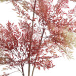 GloboStar® Artificial Garden RED NANDINA PLANT 20966 Διακοσμητικό Φυτό Κόκκινη Ναντίνα Φ66 x Υ150cm - Image 3