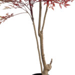 GloboStar® Artificial Garden RED NANDINA PLANT 20966 Διακοσμητικό Φυτό Κόκκινη Ναντίνα Φ66 x Υ150cm - Image 4