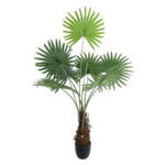 GloboStar® Artificial Garden SERENOA PALM PLANT 20971 Διακοσμητικό Φυτό Φοίνικα Σερενόα Φ60 x Υ140cm - Image 2