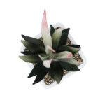 GloboStar® Artificial Garden SUCCULENT ALOE POTTED PLANT 20974 Διακοσμητικό Φυτό Αλόης Φ7 x Υ14cm - Image 3