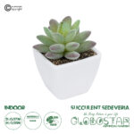 GloboStar® Artificial Garden  SUCCULENT SEDEVERIA POTTED PLANT 20975 Διακοσμητικό Φυτό Φοίνικα Σερενόα Φ7 x Υ8cm