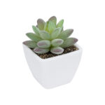GloboStar® Artificial Garden  SUCCULENT SEDEVERIA POTTED PLANT 20975 Διακοσμητικό Φυτό Φοίνικα Σερενόα Φ7 x Υ8cm - Image 2