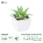 GloboStar® Artificial Garden SUCCULENT ALOE LOTUS PLANT 20976 Διακοσμητικό Φυτό Παχύφυτο Λωτός Αλόης Φ8 x Υ8cm