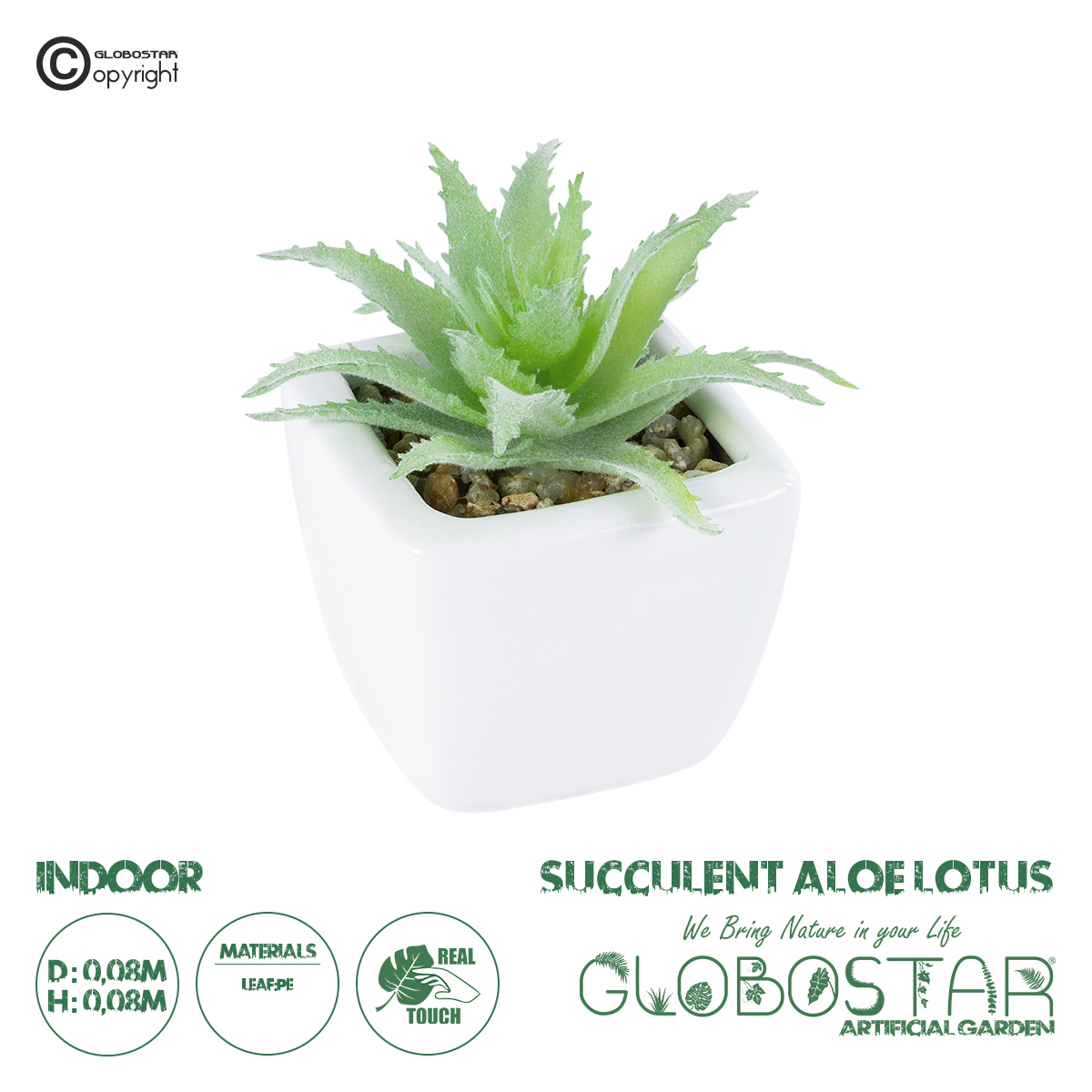 20976_1 GloboStar® Artificial Garden SUCCULENT ALOE LOTUS PLANT 20976 Διακοσμητικό Φυτό Παχύφυτο Λωτός Αλόης Φ8 x Υ8cm - Image 1
