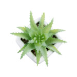 GloboStar® Artificial Garden SUCCULENT ALOE LOTUS PLANT 20976 Διακοσμητικό Φυτό Παχύφυτο Λωτός Αλόης Φ8 x Υ8cm - Image 3