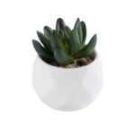GloboStar® Artificial Garden SUCCULENT CRASSULA 20979 Διακοσμητικό Φυτό Παχύφυτο Κράσουλα Υ9cm - Image 2