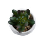 GloboStar® Artificial Garden SUCCULENT CRASSULA 20979 Διακοσμητικό Φυτό Παχύφυτο Κράσουλα Υ9cm - Image 3